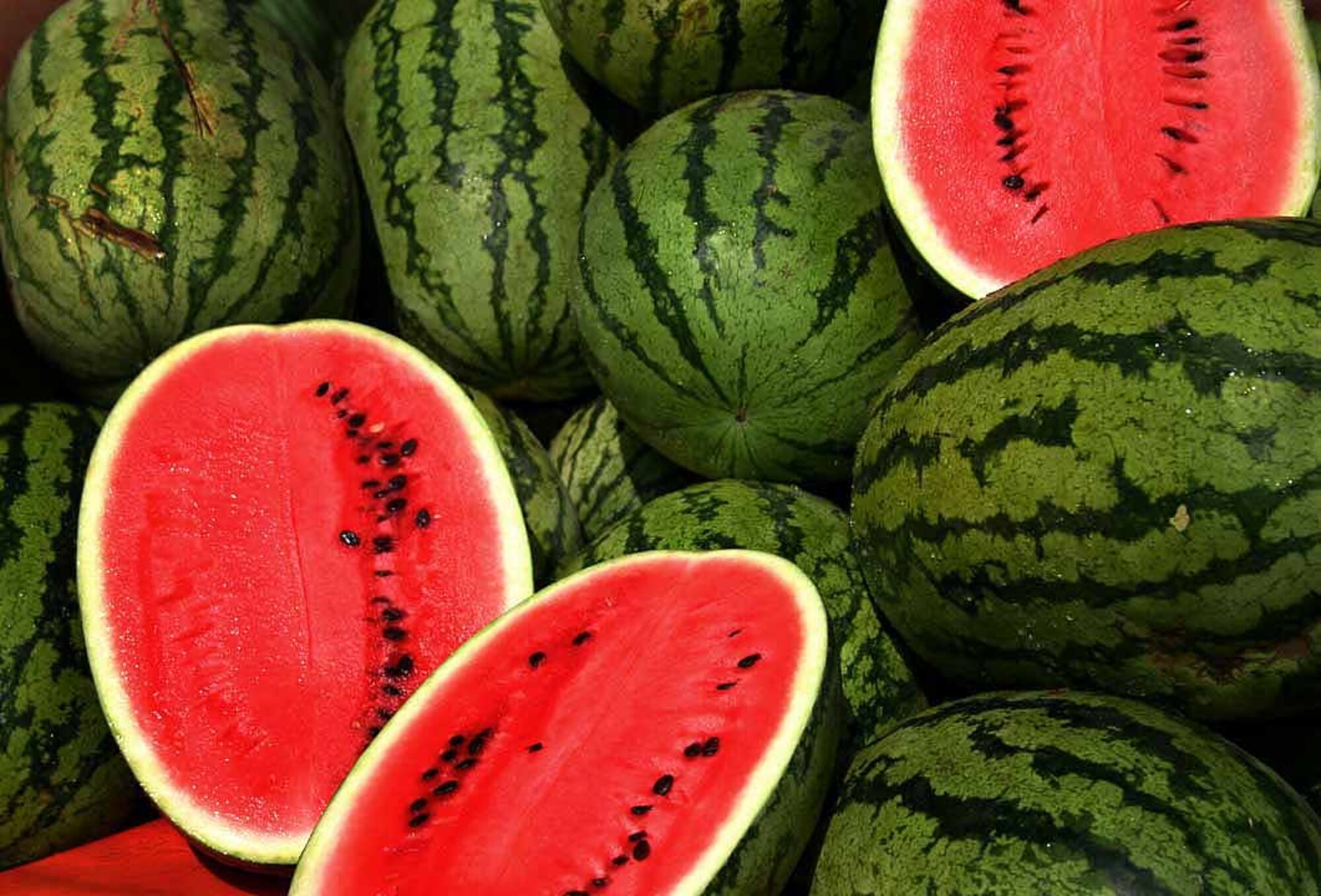 Festivals - Watermelon Feast