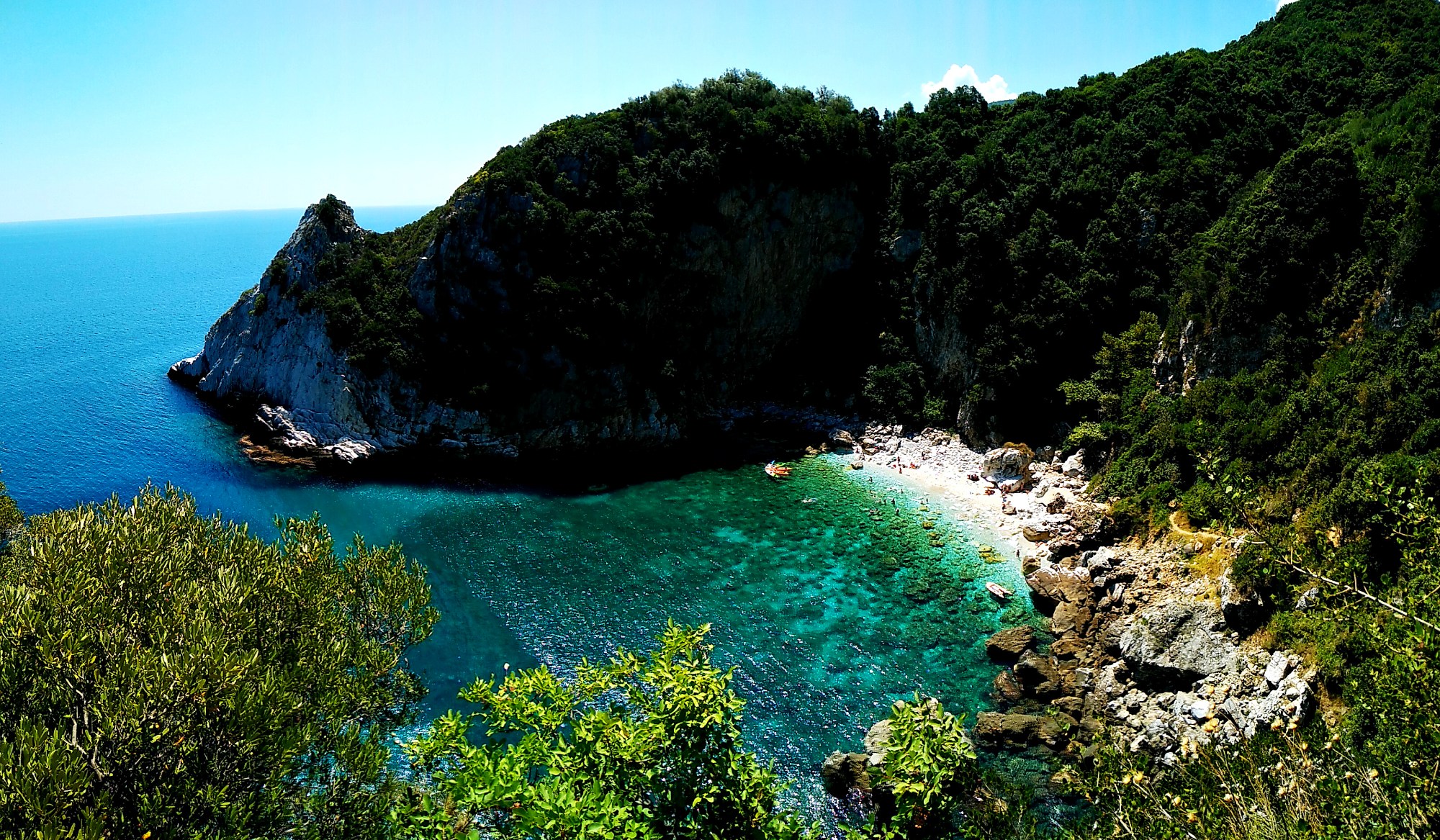 About Pelion