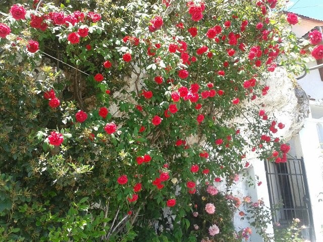 OROPEDIO LASITHIOU PHOTO